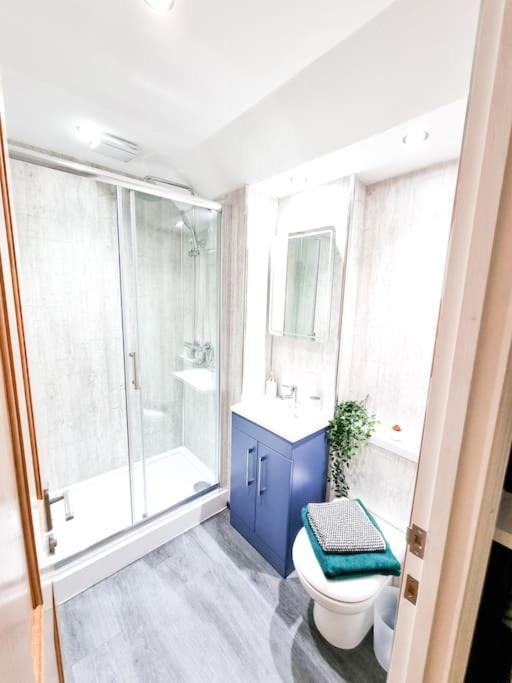 شقة Gorgeous Newly Renovated 2 Double Bed Flat سوانسي المظهر الخارجي الصورة